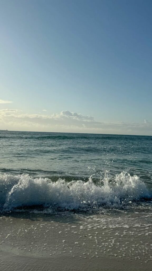 60806211b2aaeca59fe57ec97ba9606a